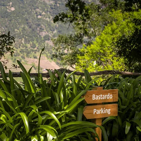 Casas Do Lanco By An Island