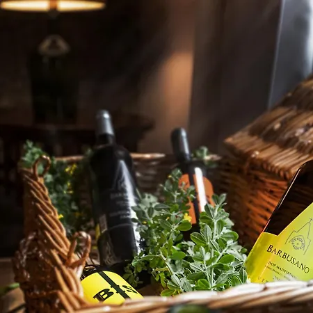 Casas Do Lanco By An Island *